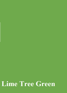 Oracal 651 – Permanent Outdoor Adhesive Vinyl - Lime-Tree Green - 063