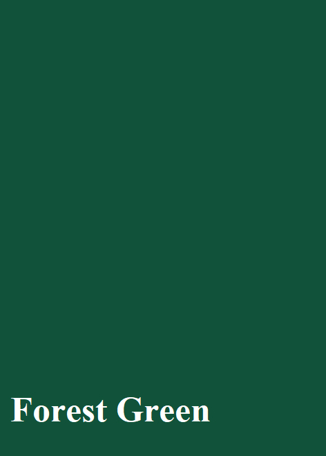 Oracal 651 – Permanent Outdoor Adhesive Vinyl - Forest Green - 613